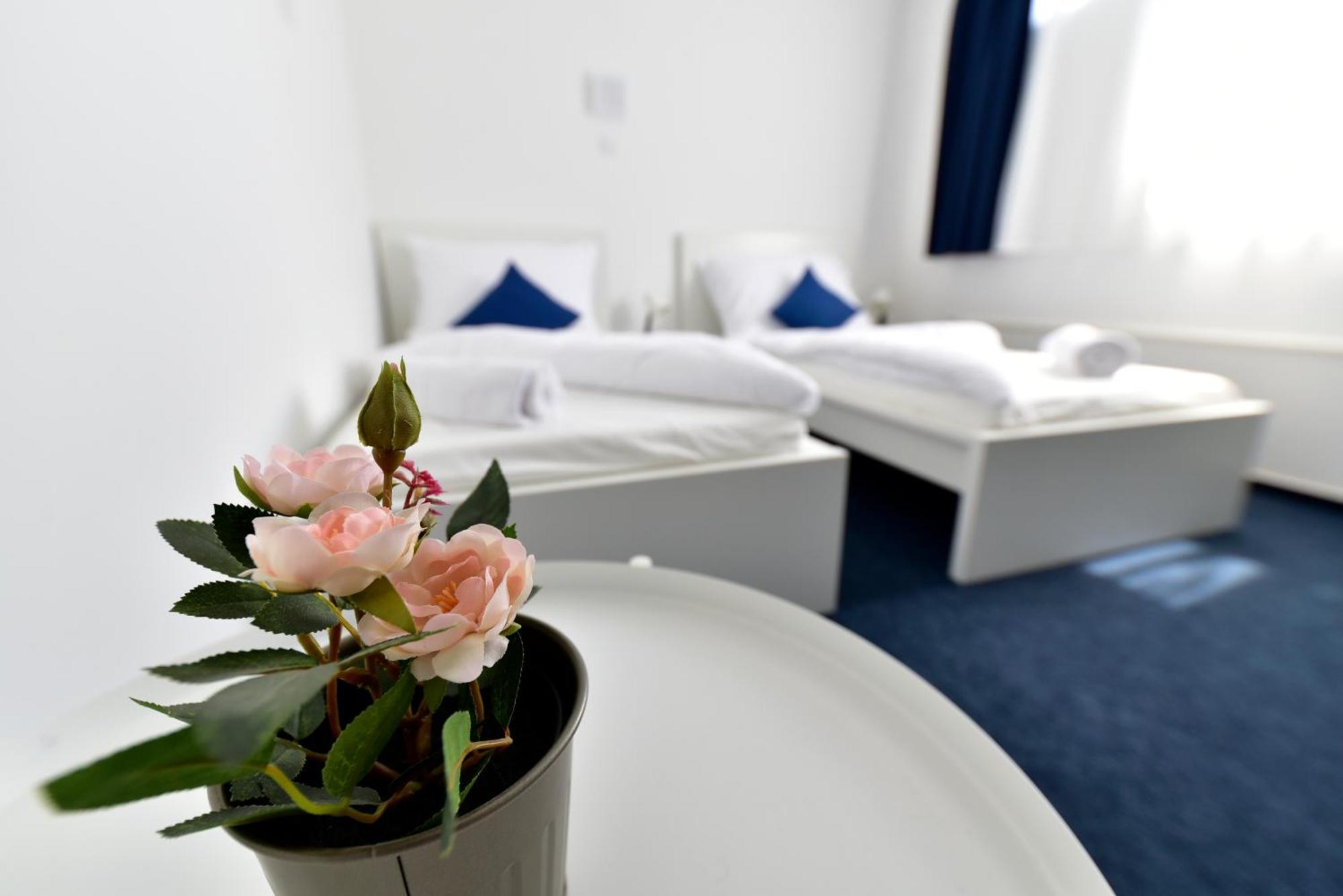 זמראדי Zama Hotel מראה חיצוני תמונה